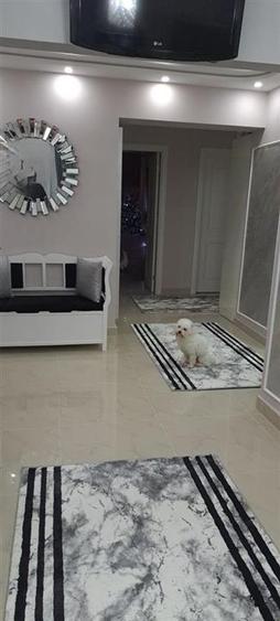 Apartament cu 3 camere decomandat, mobilat în Cug