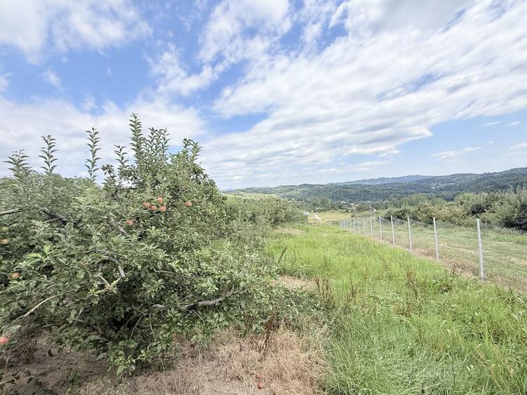 Teren Construcții intravilan de 2721 mp, în Valea Târsei