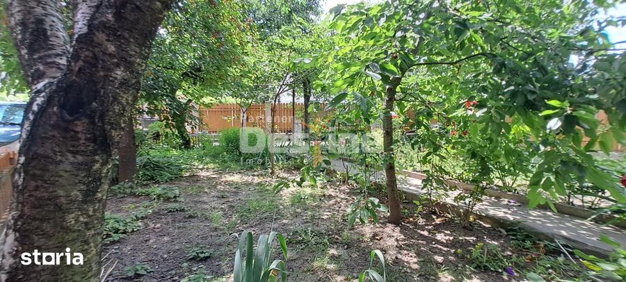 IASI, Zona Centrala - Proprietate cu potential COMERCIAL si INVESTITIO - 3