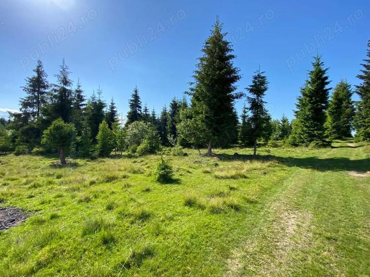 Teren de 3300 mp, în Beliș
