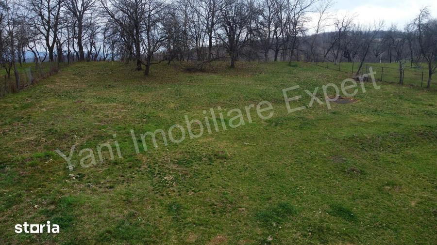 Teren de 2674 mp, în Cepari