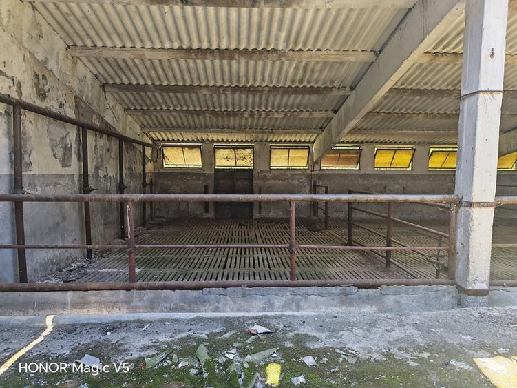 Spațiu industrial, de 7,950 mp, în Orțișoara