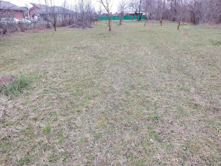Teren de 1400 mp, în Bănești