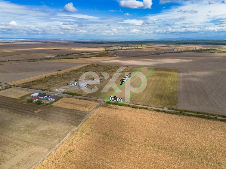 Teren agricol intravilan de 23000 mp, în Buziaș