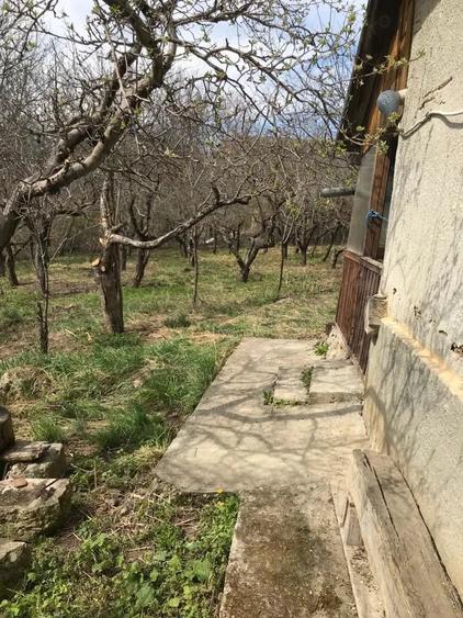 Casă în Ocnița