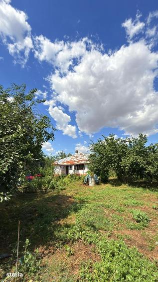 Casă cu 3 camere cu Teren 2100 Mp în Dor Mărunt
