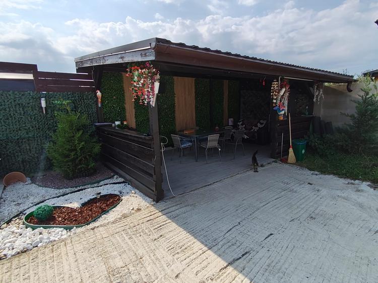 Casă cu 3 camere cu Piscina în Săbăreni