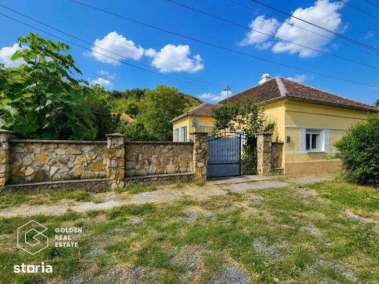 Casă cu 4 camere cu Teren 1224 Mp în Barațca