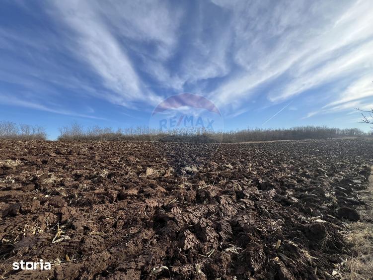 Teren de 10000 mp, în Moldovenești