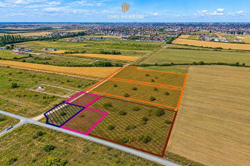 Teren Construcții intravilan de 620 mp, în Moșnița Nouă
