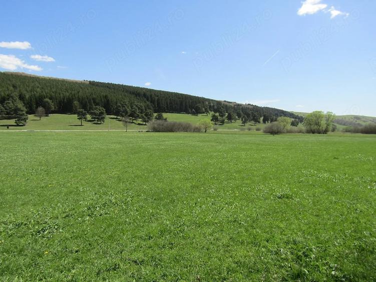 Teren de 4300 mp, în Valea Mare