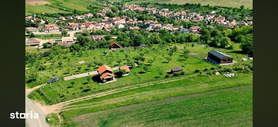Teren Intravilan 1000 Mp-Utilitati-Sura Mare - 2