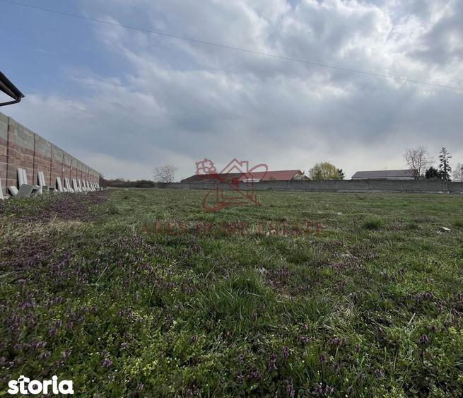 Teren intravilan pentru blocuri la asfalt | Bucovat - 3