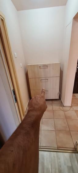 Garsonieră decomandată în Câmpia Libertății