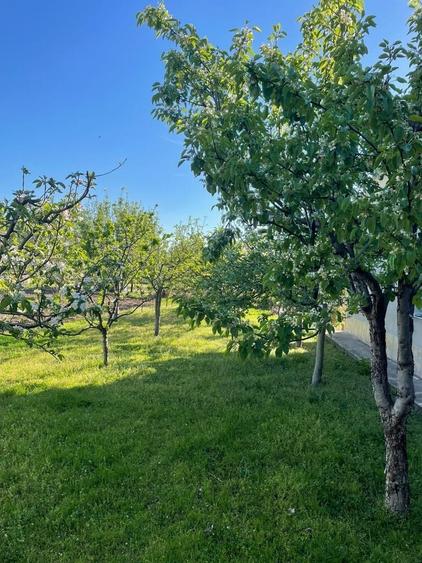 Casă cu 4 camere în Greci