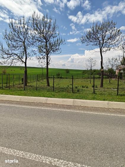 Teren de 50000 mp, în Movileni