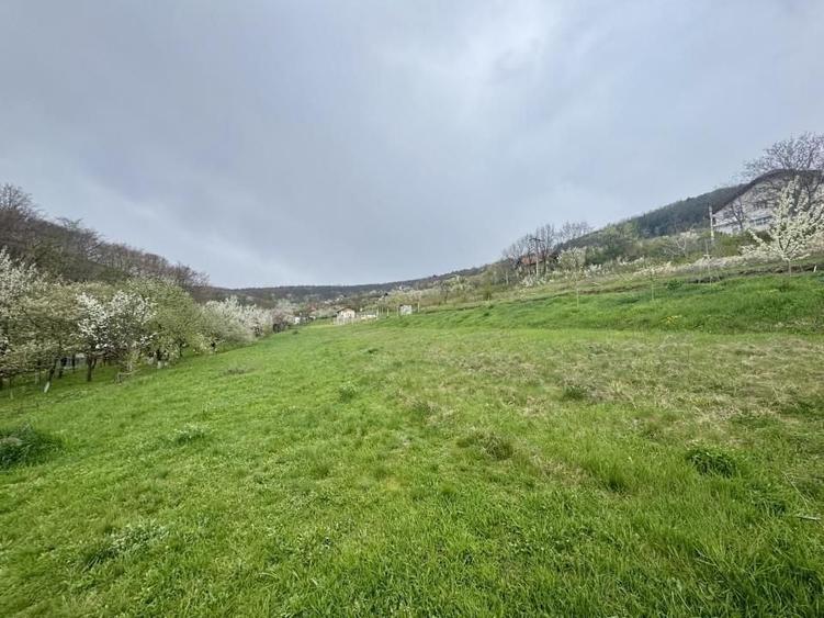 Teren Construcții intravilan de 950 mp, în Vulcan