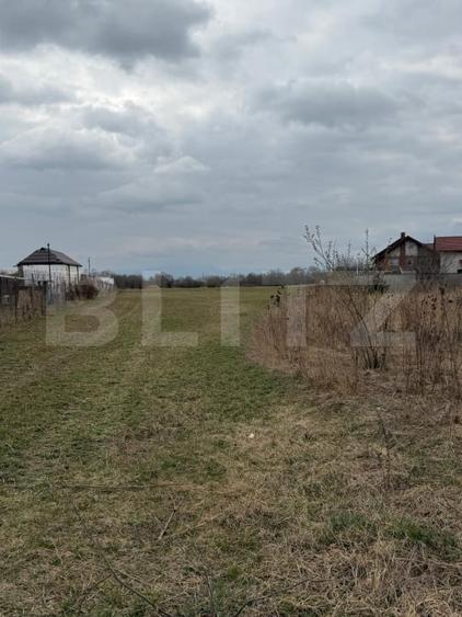 Teren Construcții extravilan de 2000 mp, în Sânpetru