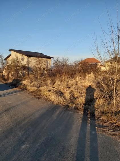 Teren de 2400 mp, în 1 Decembrie