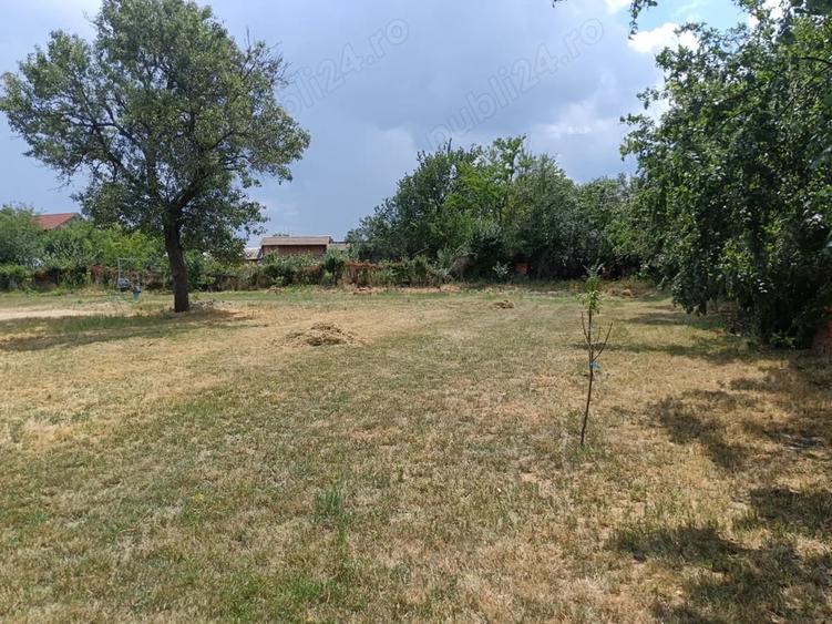 Teren intravilan de vanzare in Uzunu - 1