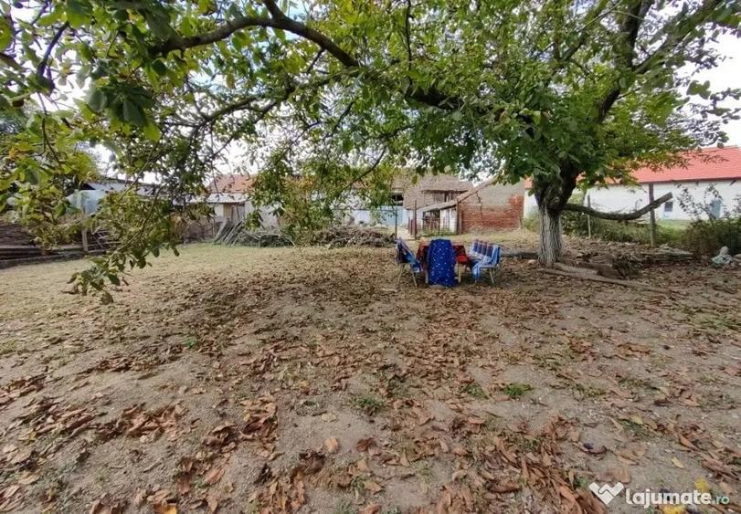 Casă cu 3 camere cu Teren 2448 Mp în Chesinț
