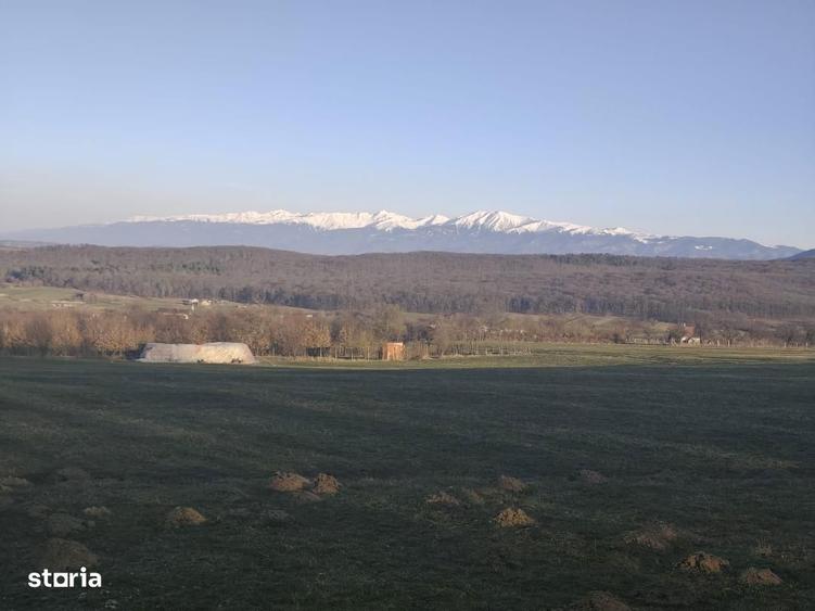 Teren de 1900 mp, în Rășinari