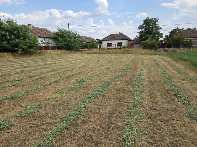 Spațiu comercial, în Sânnicolau Român