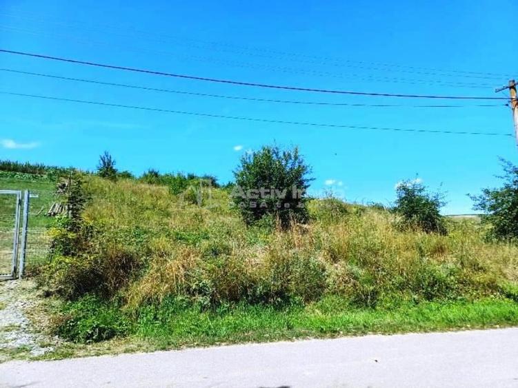 Teren de 2000 mp, în Ciurila