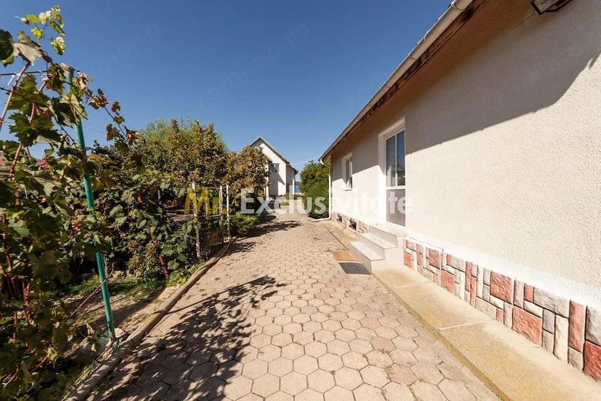 Casă cu 2 camere cu Teren 5000 Mp în Dârmănești