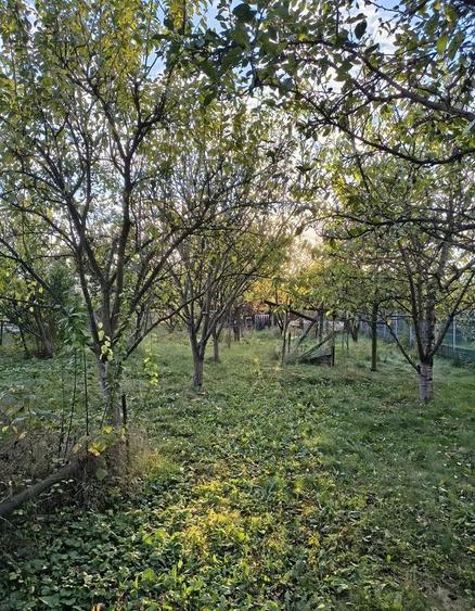 Casă individuală cu 2 camere cu Teren 770 Mp în Dâmbul Rotund