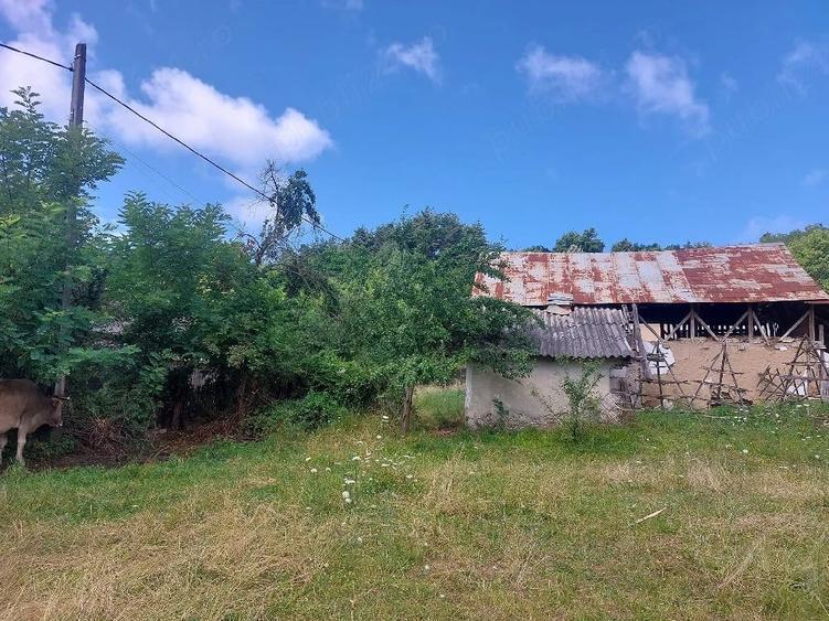 Teren de 1700 mp, în Vlădești