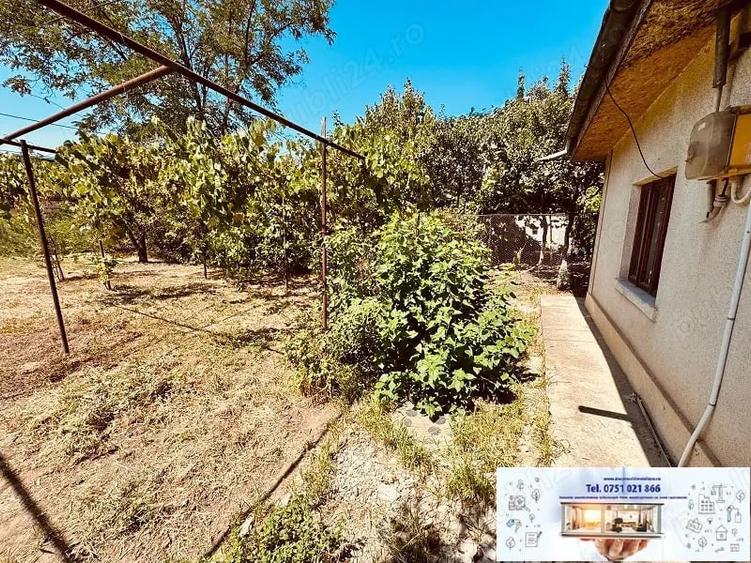 Casă cu 2 camere cu Teren 990 Mp în Central