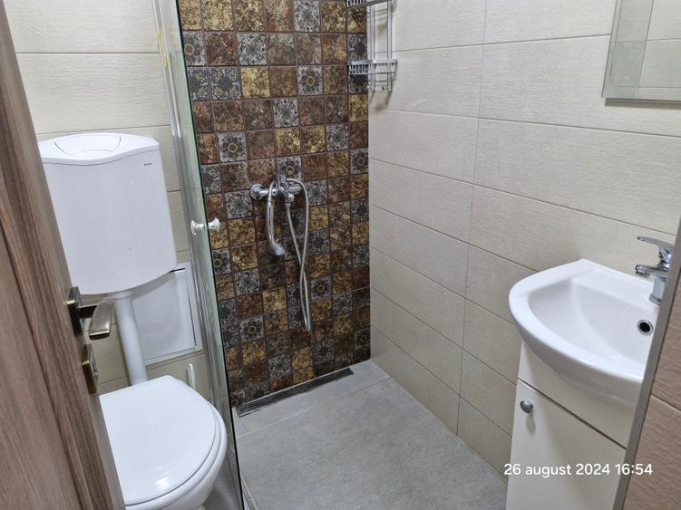 Birou, de 24 mp, în Buziașului