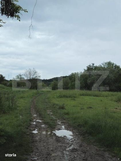 Spațiu comercial, în Gorgota