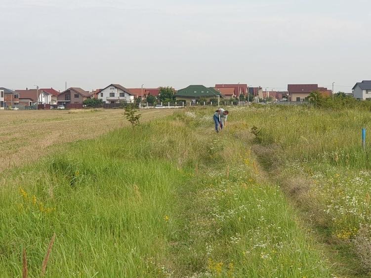 Spațiu comercial, în Central