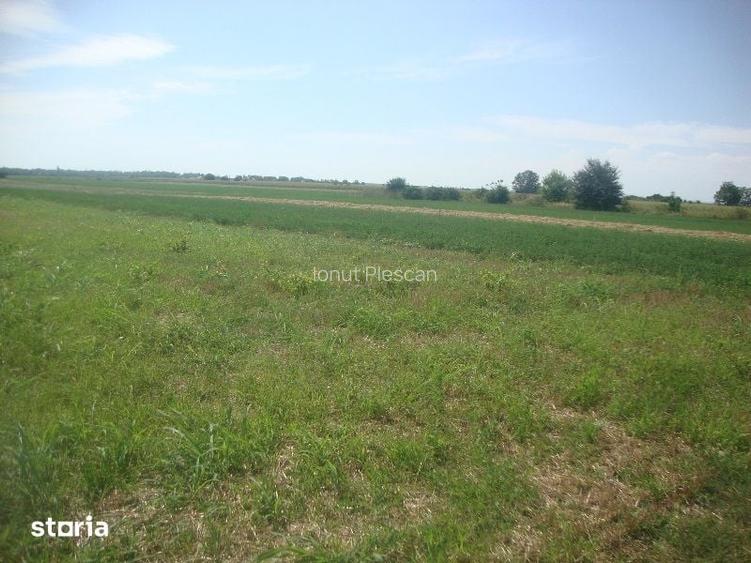 Teren extravilan Boldesti Gradistea, Prahova - 3089300