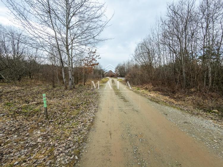 Teren extravilan de 2200 mp, în Calea Poplăcii