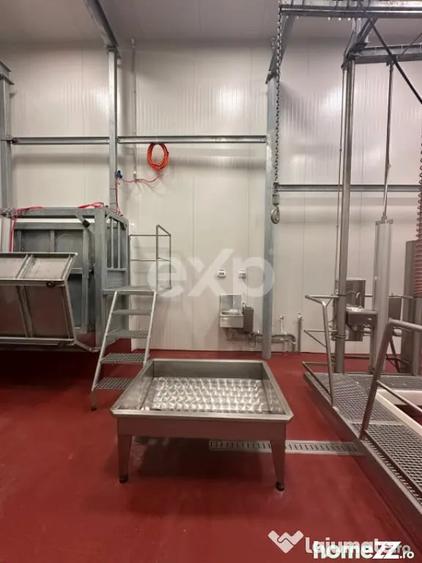 Black Angus Farm with authorized Slaughterhouse - 4
