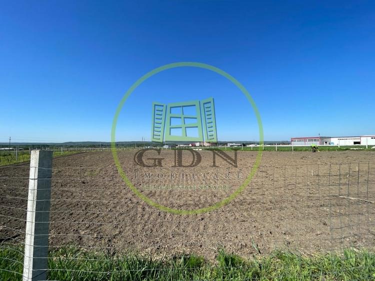 Teren agricol intravilan de 6215 mp, în Răcarii de Jos
