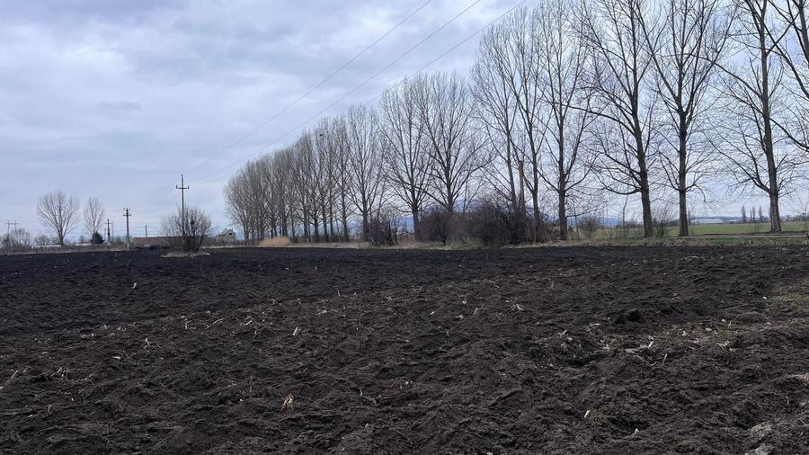 Teren agricol extravilan de 50000 mp, în Hălchiu