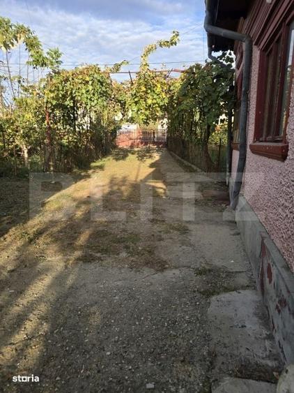 Casă cu 3 camere în Viișoara