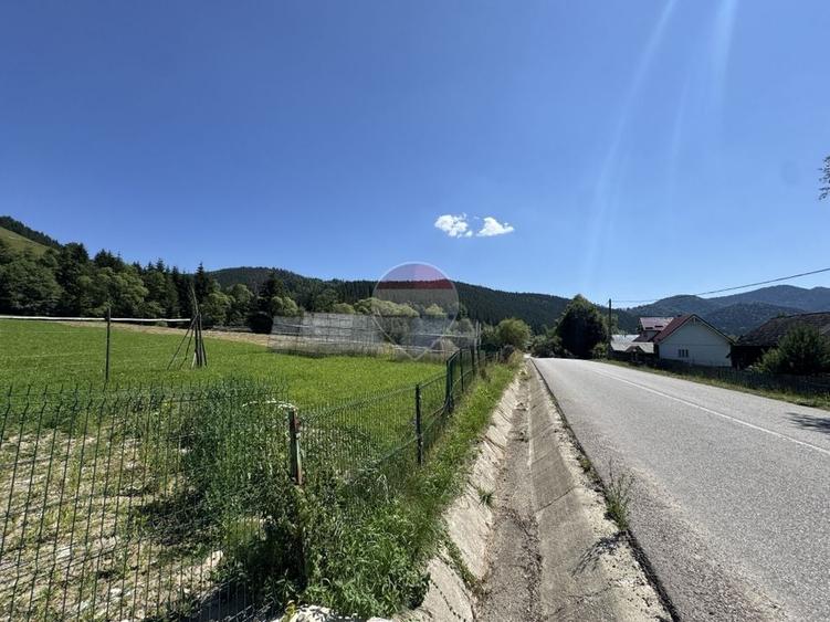 Teren Construcții intravilan de 7670 mp, în Borca