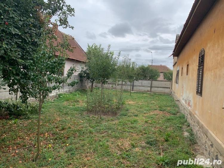 Casă cu 6 camere cu Teren 7805 Mp în Belinț