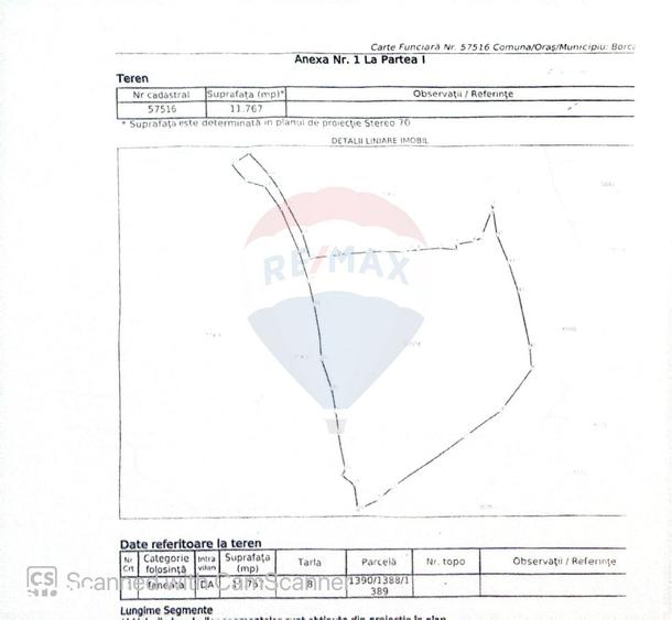 Teren de 49000 mp, în Borca