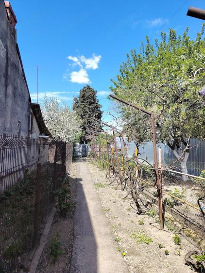 Casă cu Teren 250 Mp în Central