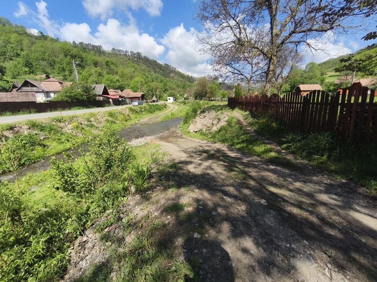 Teren Cabana Ocolis Alba langa rau de munte, 4000 mp, SUPER OFERTA - 2