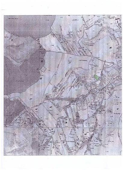 Teren de 70000 mp, în Țaga