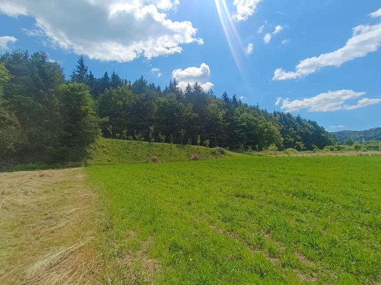Teren extravilan de 3291 mp, în Vulcan