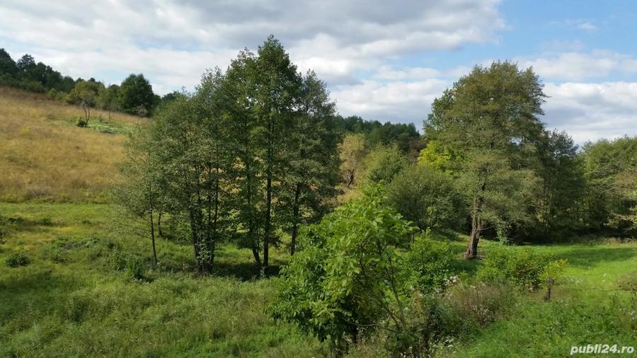 Teren de 8600 mp, în Central