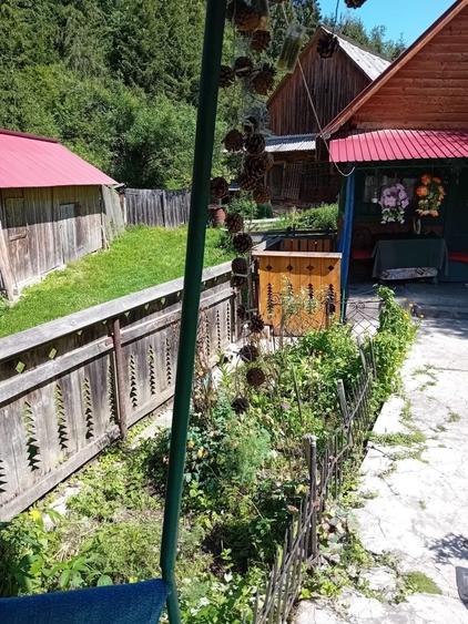 Casă cu 4 camere în Horea